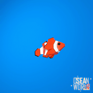 OSEAN WORLD