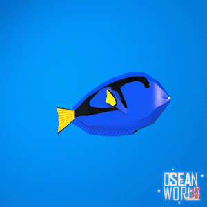 OSEAN WORLD