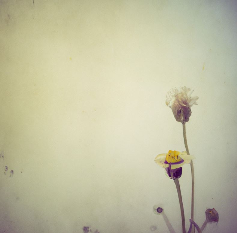 Vintage flowers 777